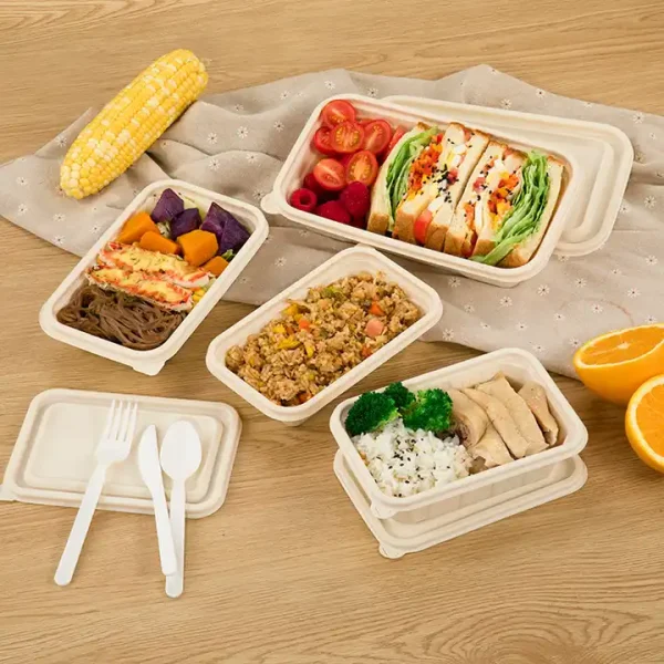 Biodegradable Pulp Paper Food Container 4