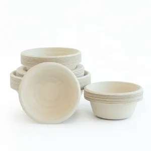 Bagasse Bowl with Partition