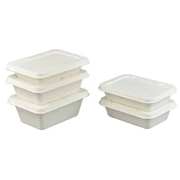 Custom Biodegradable Food Takeout Containers