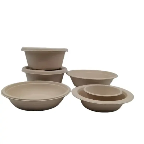 Custom Disposable Paper Pulp Container Lunch Bowls