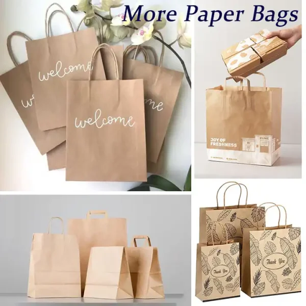 Custom Logo Printed Eco Recycle Craft Paper Bag with Handles