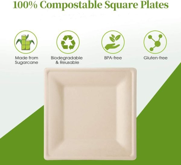 100 Compostable Bagasse Square Plates