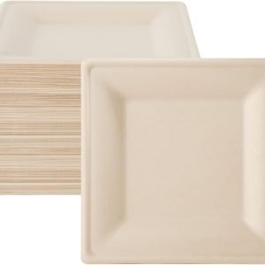 Compostable Bagasse Square Plates