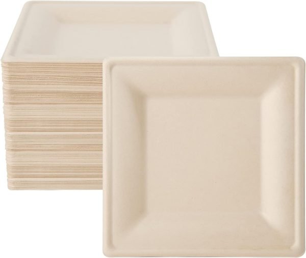 Compostable Bagasse Square Plates