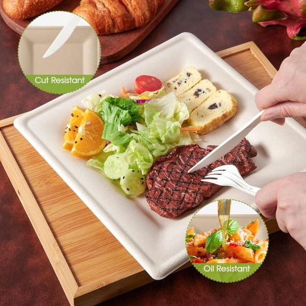 Compostable Bagasse Square Plates cut and oil resistant