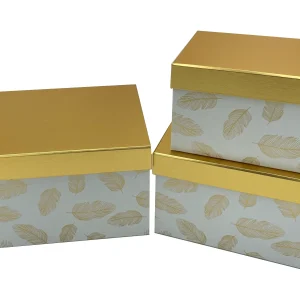 Custom Printed Cardboard Storage Box With Lid scaled