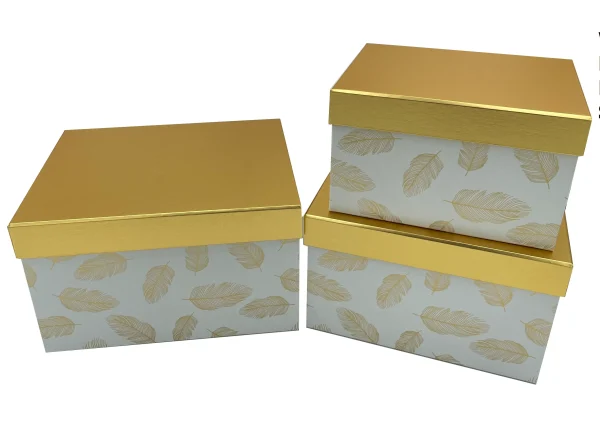 Custom Printed Cardboard Storage Box With Lid scaled