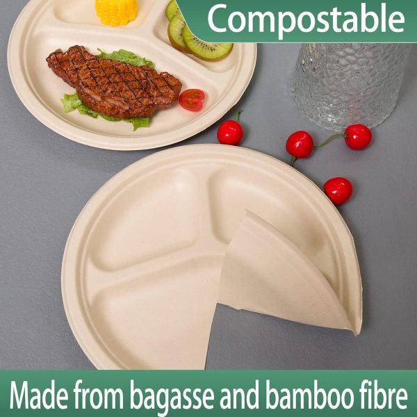 Paper Plates With Dividers compostable