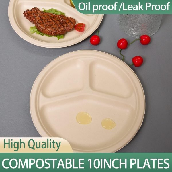 Paper Plates With Dividers oil proof leak proof